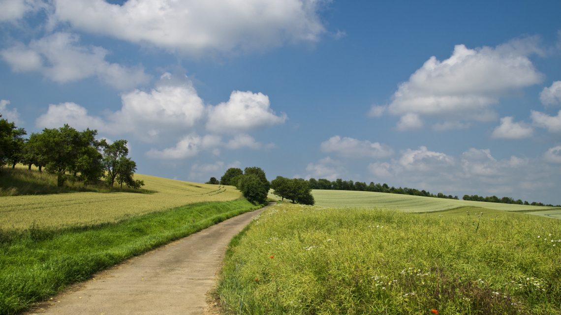 Paysage avec chemin